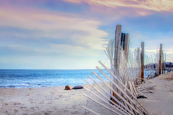 Peggotty Beach, Scituate
