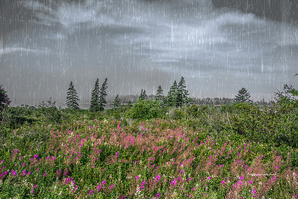 April showers bring May flowers